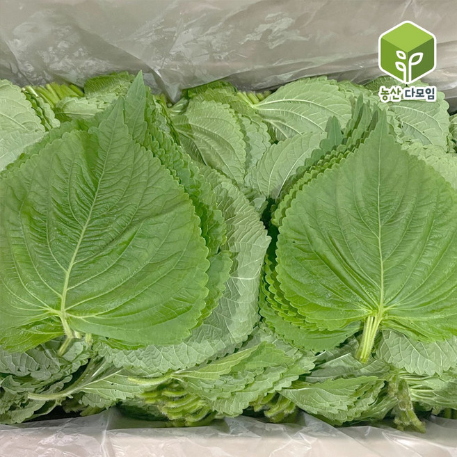찹찹이 깻잎 2kg 2박스 묶음, 1개