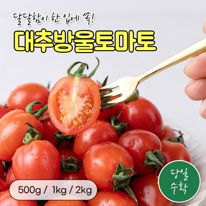 [건강한농부] 대추 방울토마토(로얄과) / 당일수확 국내산 고당도 건강과일 건강간식, 1개, 500g