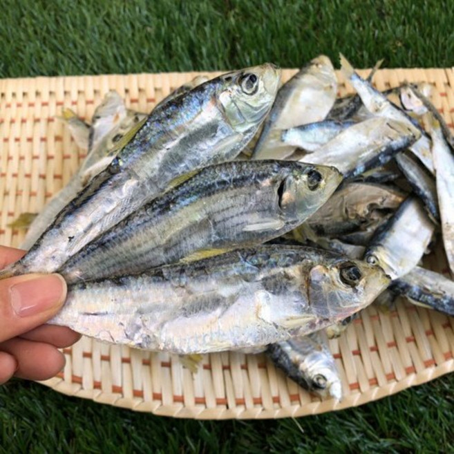 신건호멸치 육수용 국산 디포리(상급) / 건디포리 밴댕이 멸치, 1개, 500g