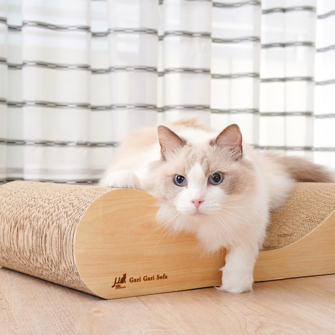 가리가리 소파 와이드 (2085), 1개