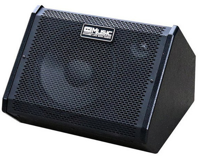 이스턴 코리아 전자드럼/ 키보드 앰프 DM80 80와트 다용도 엠프