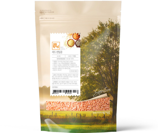 감성먹거리 4가지 렌틸콩 1kg 렌즈콩, 1개, 레드렌틸콩 1KG