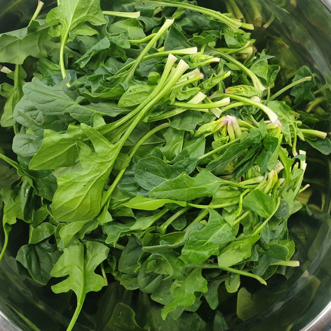 클릭마켓 국내산 지방 시금치, 1박스, 2kg