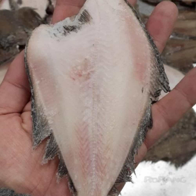 로랑마켓 반건조 참가자미 국내산 5미 가자미튀김