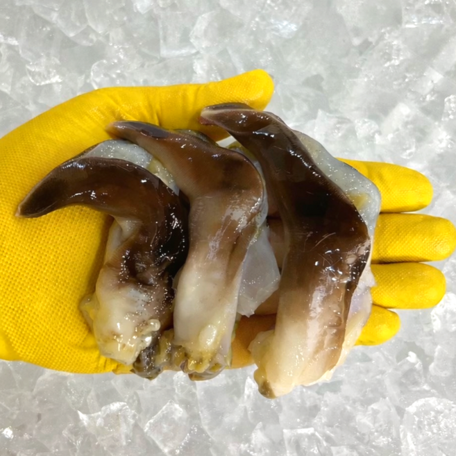 고수율선별 여수 손질 새조개, 1개, 500g