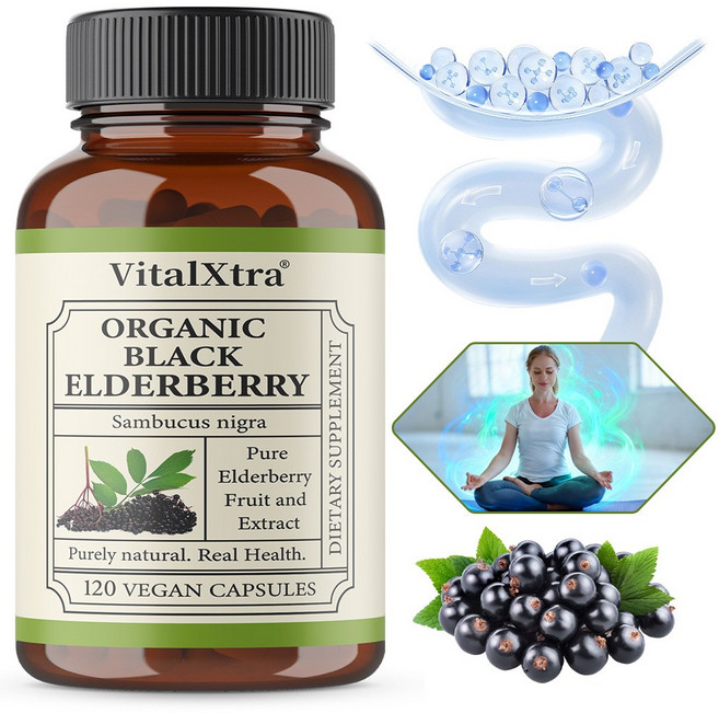 유기농 블랙 엘더베리 보충제 - 4:1 엘더우드 추출물 680mg + 유기농 엘더우드 파우더 300mg - 면역지지 천연 항산화, 2개, 120회분