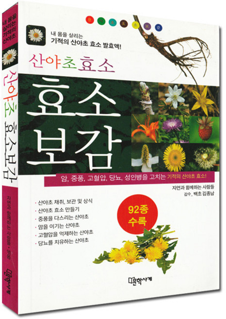 반디BOOKS 기적의 허브와 산야초 효소보감