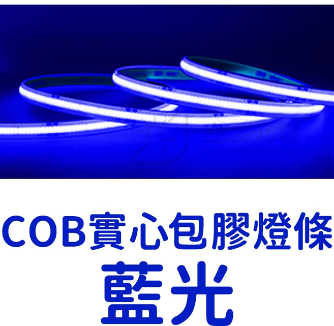 仟尚電商 全防水實心 LED氣氛燈 室內裝潢 電視牆 廣告燈箱, 【藍光】單色ＣＯＢ包膠防水燈條,１２Ｖ（２５０公分）寬１０ｍｍ