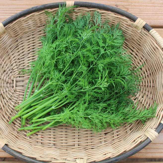 유기농 딜 생잎 허브, 50g, 50g, 1개