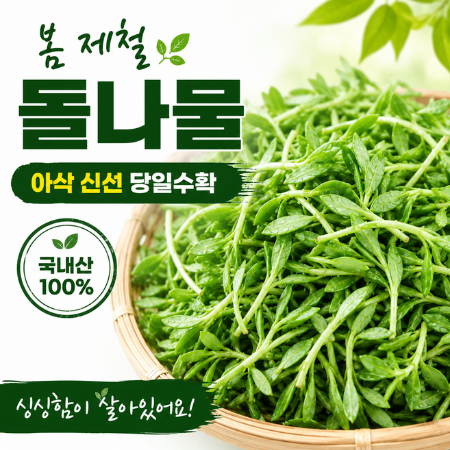 산내음마켓 돌나물 싱싱한 생돌나물 당일수확 1kg, 1개