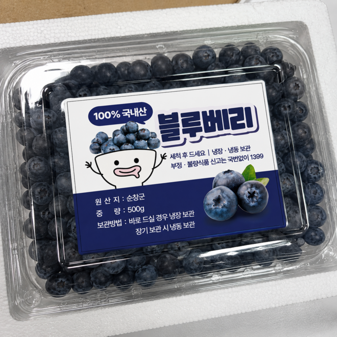 [특가세일] 국내산 유명산지 당도선별 생 블루베리, 1박스, 500g