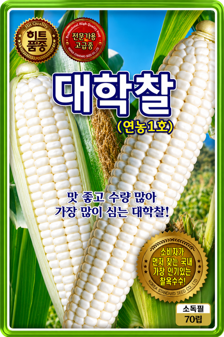 대학찰옥수수씨앗 (70립) 소비자선호도1위 연농1호 찰 옥수수 씨앗, 2개