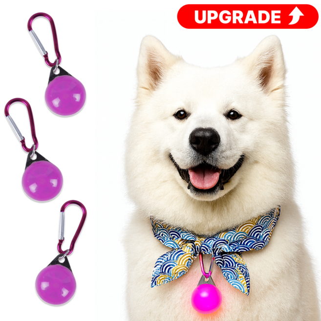 맥너슨 강아지 산책 led 펜던트, 1세트, 분홍 + 분홍 + 분홍