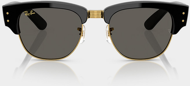 레이벤 긱시크 선글라스 라운드 오벌 뿔테 RAYBAN RB4441D 여자 남자 썬그라스