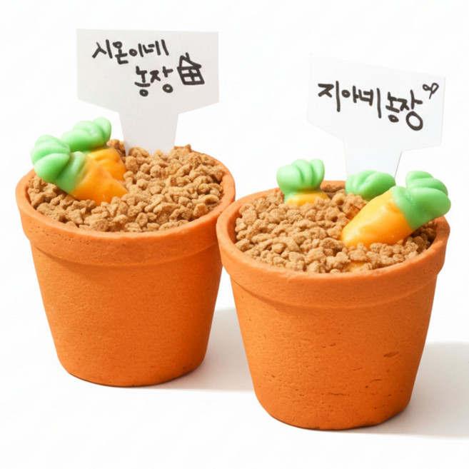 아이랑 함께 만드는 화분도 먹는 당근젤리 컵케이크 만들기 2인 DIY 놀이 세트, 1세트, 10종