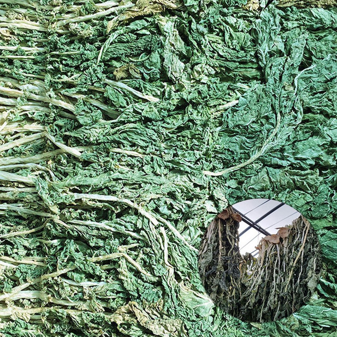 초록한입 유기농 건 말린 무청 시래기 500g, 1개