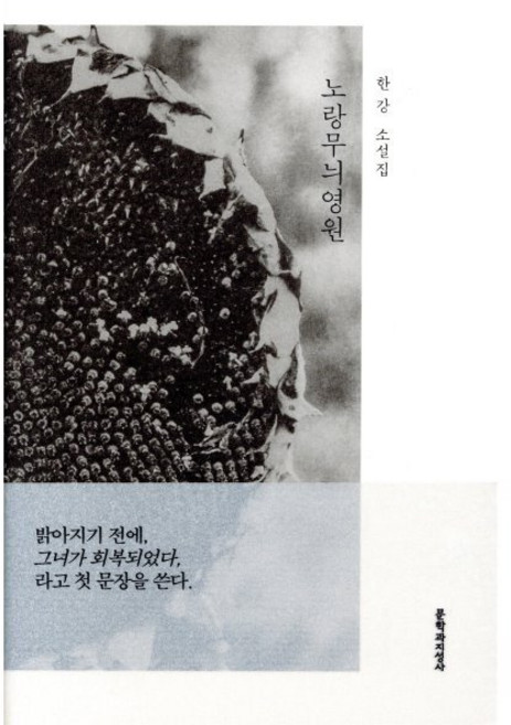 노랑무늬영원:한강 소설집, 문학과지성사, 한강 저