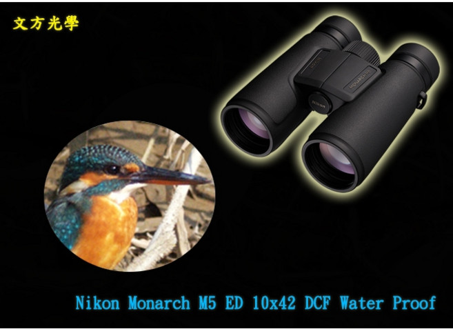 Nikon Monarch M5 ED 10x42 雙筒望遠鏡 充氮防水防霧, 10倍款 距離更遠 目標物更大, 42mm