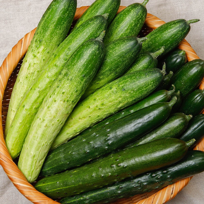 오이 오이지용 백다다기 백오이 못난이 취청오이 가시오이 5kg 10kg, 1개, 가시오이[특품] 1kg