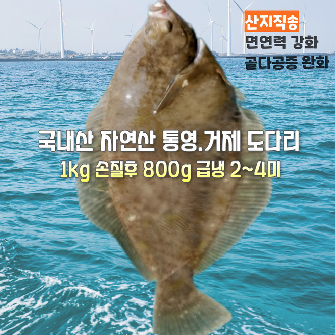 [산지직송] 국내산 자연산 새벽조업 당일손질 당일급냉 손질후 800g 제철생선 선물용 가정용, 1세트