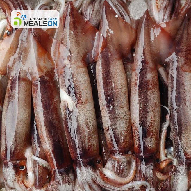 밀스온 손질 냉동 할복오징어 통오징어, 10개, 손질 통오징어 특대(500g내외 2미)