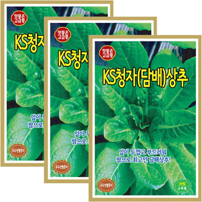 세인화분 아삭한 담배상추씨앗 3000립 쌈채소 채소씨앗 담배 상추 씨앗, 3개