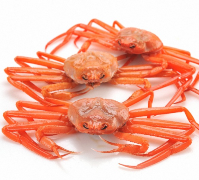 굿농수산마켓 동해 구룡포 산지직송 수율보장 당일발송 품질보증 100% 프리미엄 명품 박달 고급 연지 가성비 홍게 3kg (12~16미 내외), 품질보증 실속형홍게 3kg (12~16미), 1개