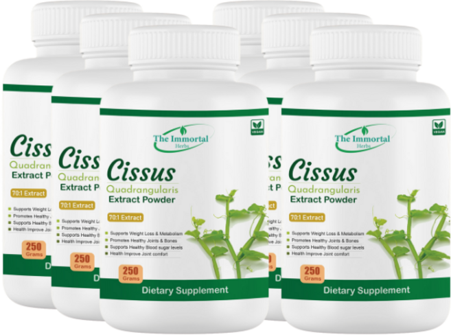 불멸의 시서스 추출물 70배 고농축 100% 시서스 250 gm 분말 씨저스 씨서스, 250g, 6개