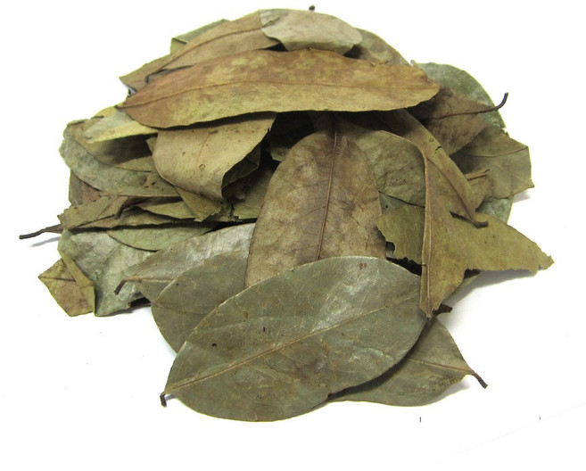 갑당약초 그라비올라 건잎 300g, 1개