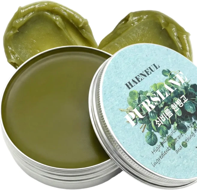 해늘 쇠비름 연고 마치현추출물 멀티밤, 1개, 100g - 쿠팡