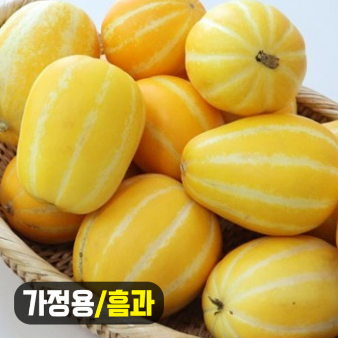 성주 참외 가정용 흠과 못난이 참외, 1개, 3kg(소/15-24과)