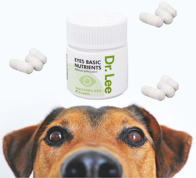 강아지 고양이 백내장 예방 영양제 루테인 눈 건강 결막염 보조제 오큐글로 대체 노령견 유루증, 1개