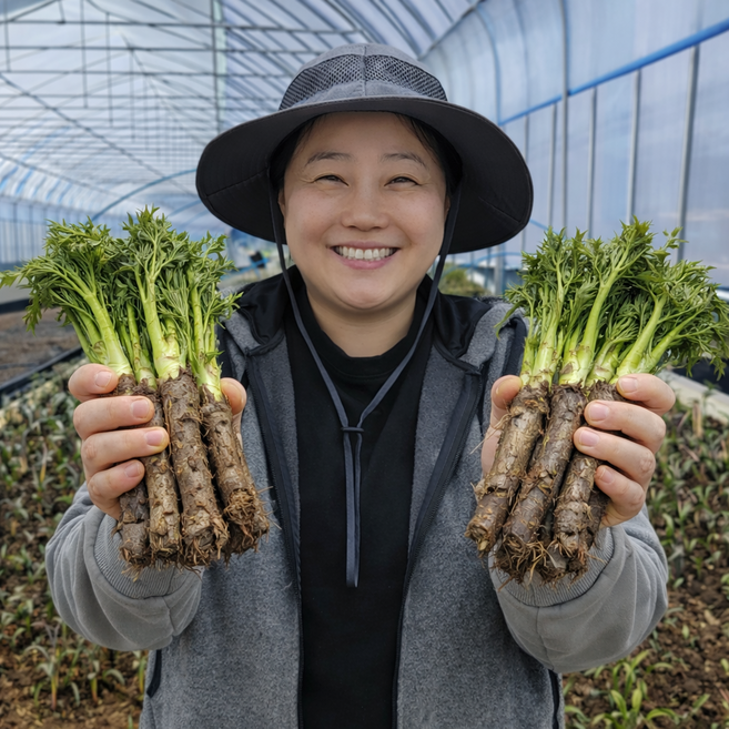 [상위1%] 2026년 첫순 향긋한 봄나물 생 참두릅, 1개, 1kg