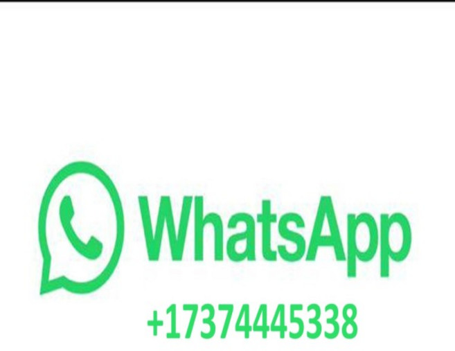 ASUS ZenBook Pro Duo 15 OLED 노트북 100% UX582