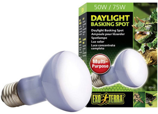데이라이트 바스킹 스팟 램프 25W / 거북이 조명 파충류 램프