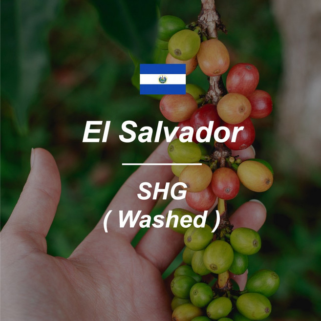 [커피생두] 엘살바도르 SHG 1kg