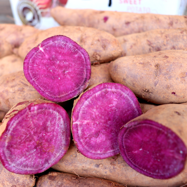 안토시아닌 풍부한 보라색 자색고구마, 1박스, 5kg(혼합)