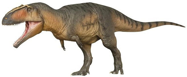 PNSO NEW 1/35 사이즈 기가노토 사우루스 큰 육식 공룡 진짜 피규어 PVC 플라스틱 모델 장난감 과학 예술 모형 선물 무 35cm급 오리지널 BOX 페인트 입 개폐 가능, 1개