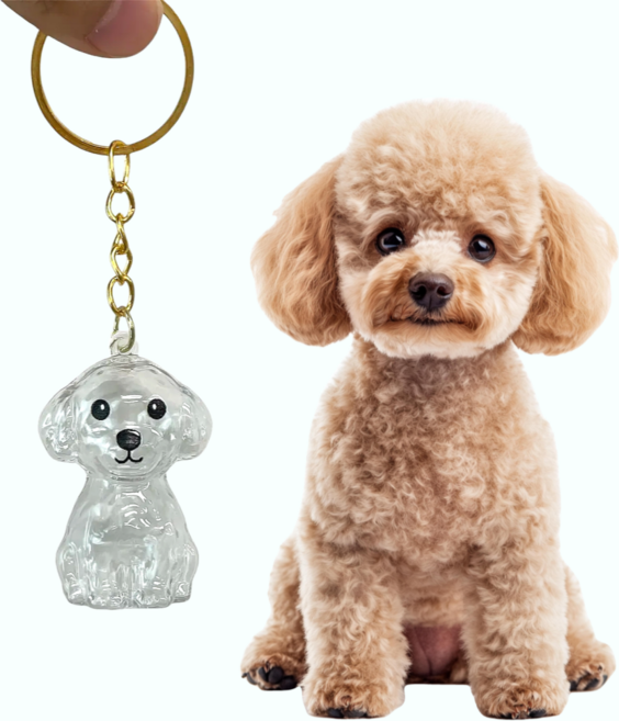 메모리펫 강아지 털 보관 캡슐 메모리얼 키링, 1개, 푸들/비숑/말티즈