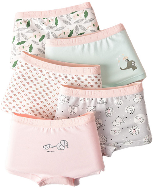 [NL67]여아 아동 주니어 학생 속옷 사각 드로즈 팬티 5종 세트 DW03