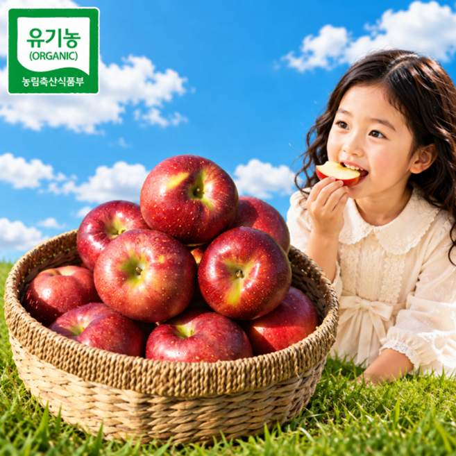 [특가페이지] 축제1위 아삭달콤 문경 감홍사과, 1박스, 5kg