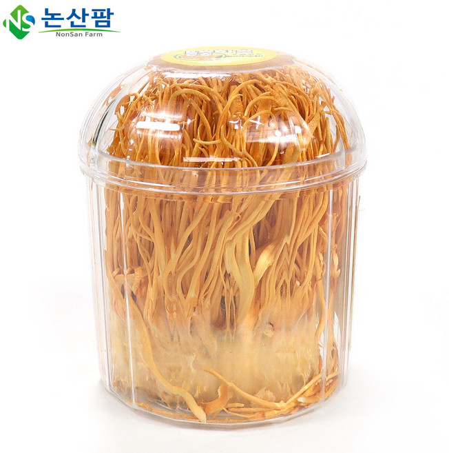 국산 동충하초 45g 차 밀리타리스 동충하초차, 45g(1개), 1개