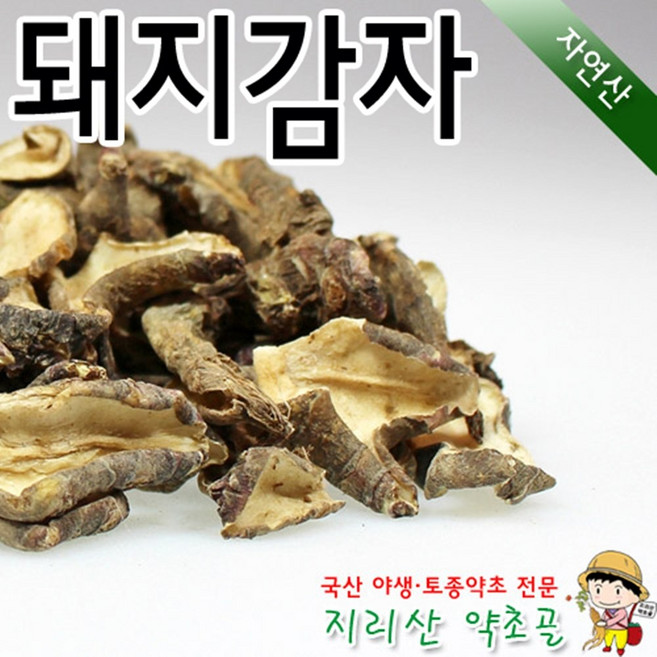100%국내산 자연산 돼지감자 500g 뚱딴지 차 효능 효과 말린 건조 야생, 돼지감자500g, 1개