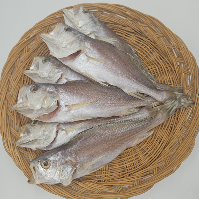 반건조 침조기 손질조기 긴가이석태, 1개, 2마리(35cm내외/270~300g기준)