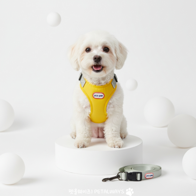 펫올웨이즈 강아지 하네스 투톤 리드줄 세트, 조절형 하네스, 옐로우