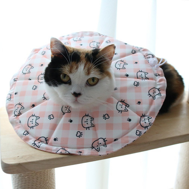 드림계곡 반려동물 강아지 고양이 초경량 방수 빅 칼라 넥카라, 1개, 핑크색