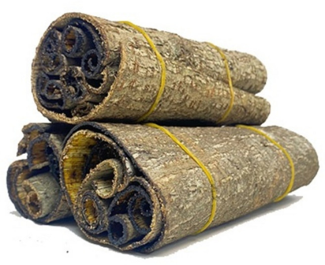 산약초이야기 자연산 참 옻나무껍질 껍질피 건재 1단140g 전-후 기타한차재료, 1단, 140g