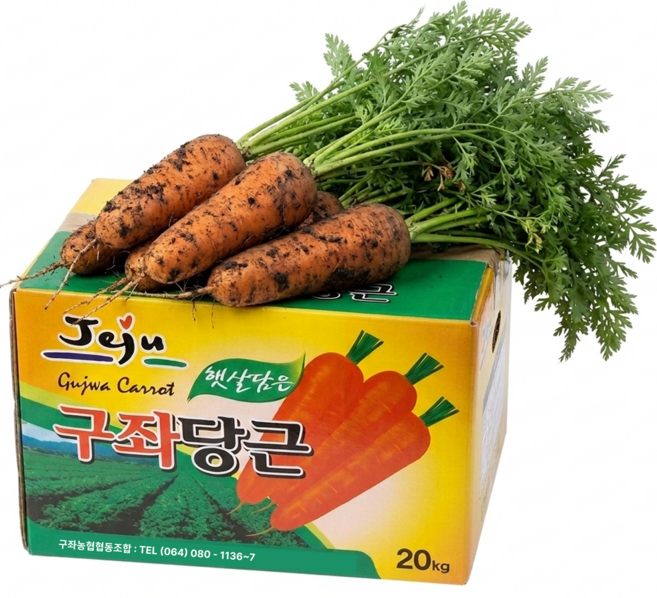 [환불보장] 제주 구좌 당근 2025 흙당근, 1박스, 3kg (왕사이즈)