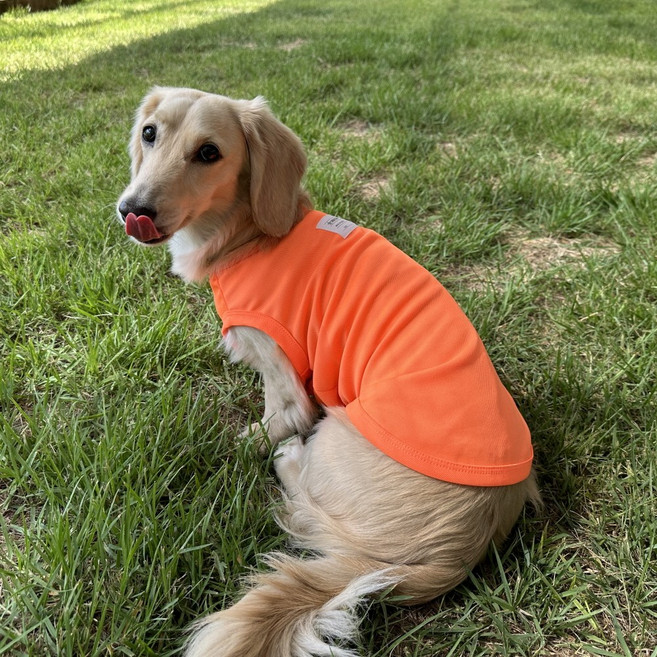 도기스타 닥스훈트옷 민소매 반려견 쿨나시, 형광오렌지, 1개