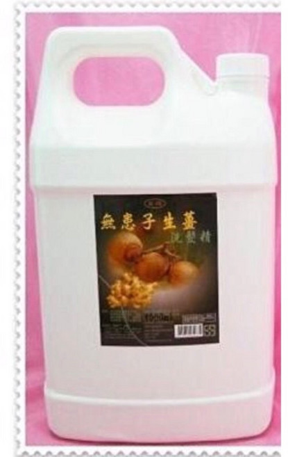 東欣 無患子生薑洗髮精 4公升, 1個